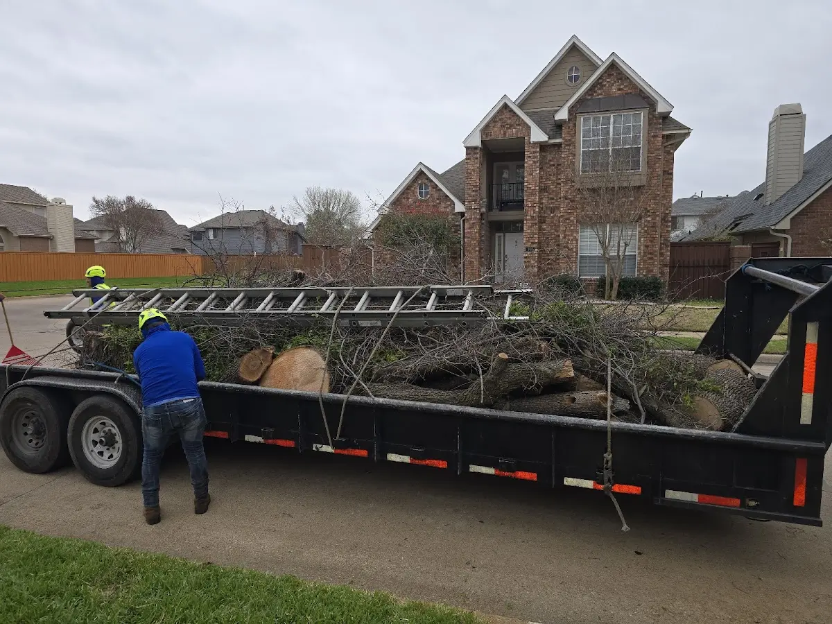 Expert Tree Fertilization with proper safety equipment in Tracyton